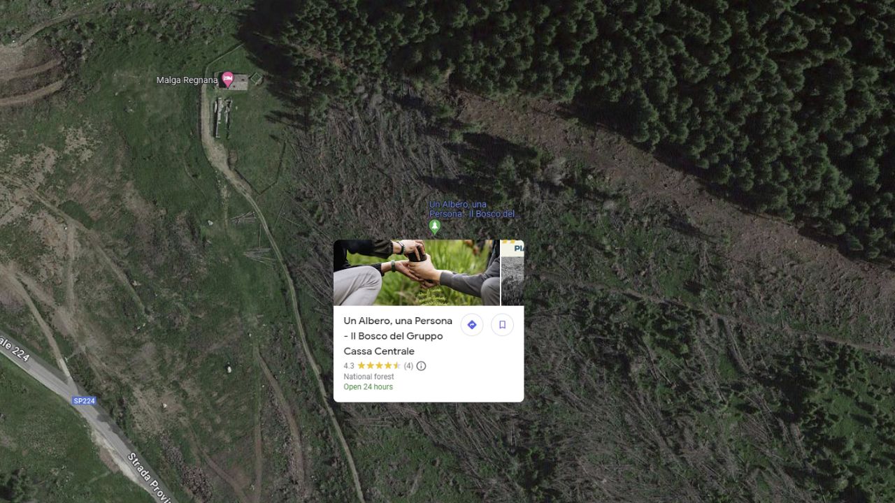 Foresta VAIA per Aziende